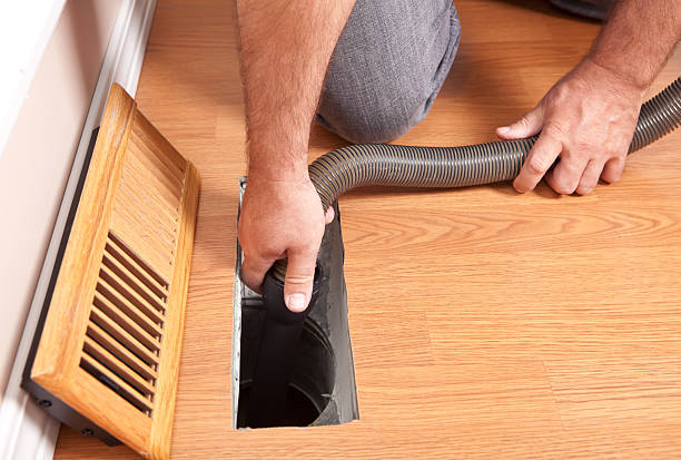 Best Air Duct Sanitizing Services  in Royalton, MN