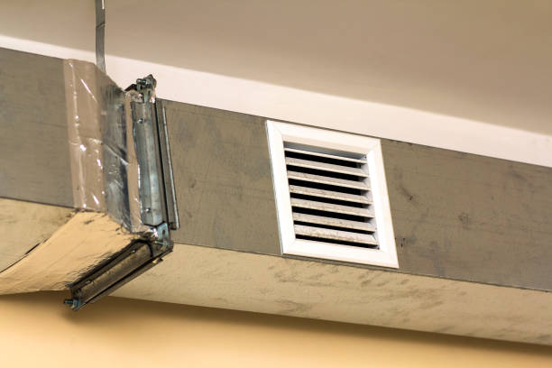 Best Air Duct Mold Removal  in Royalton, MN