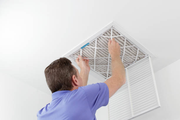 Best Affordable Duct Cleaning Services  in Royalton, MN